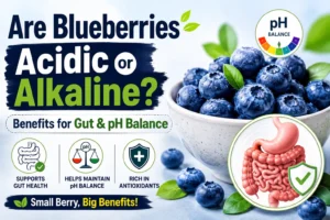 Are Blueberries Acidic or Alkaline