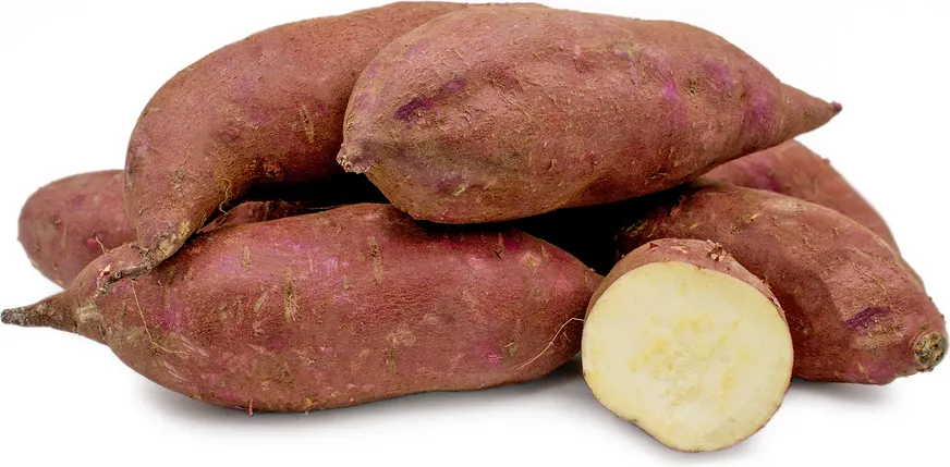 murasaki sweet potato 2